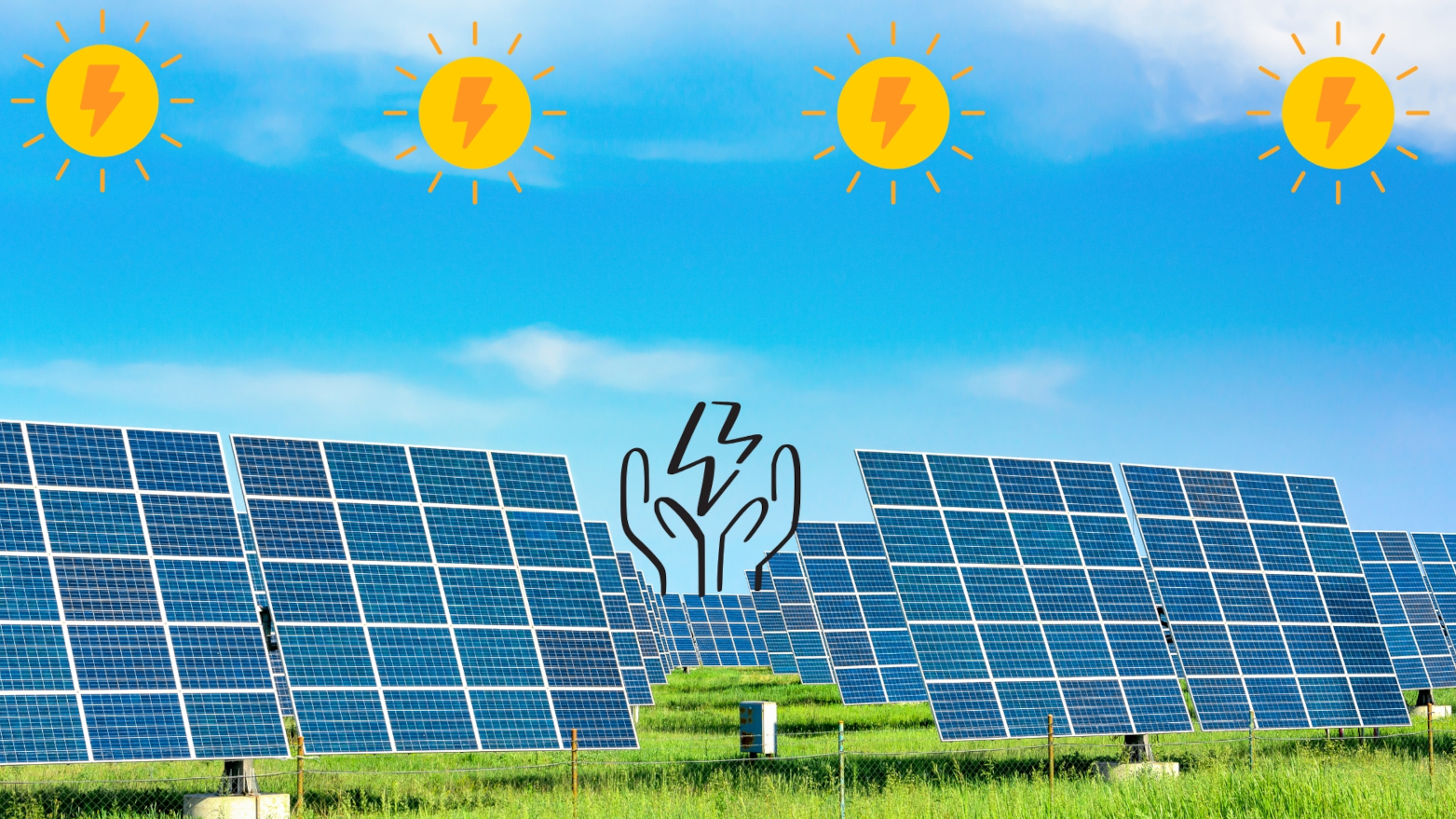 Youth for Sustainability